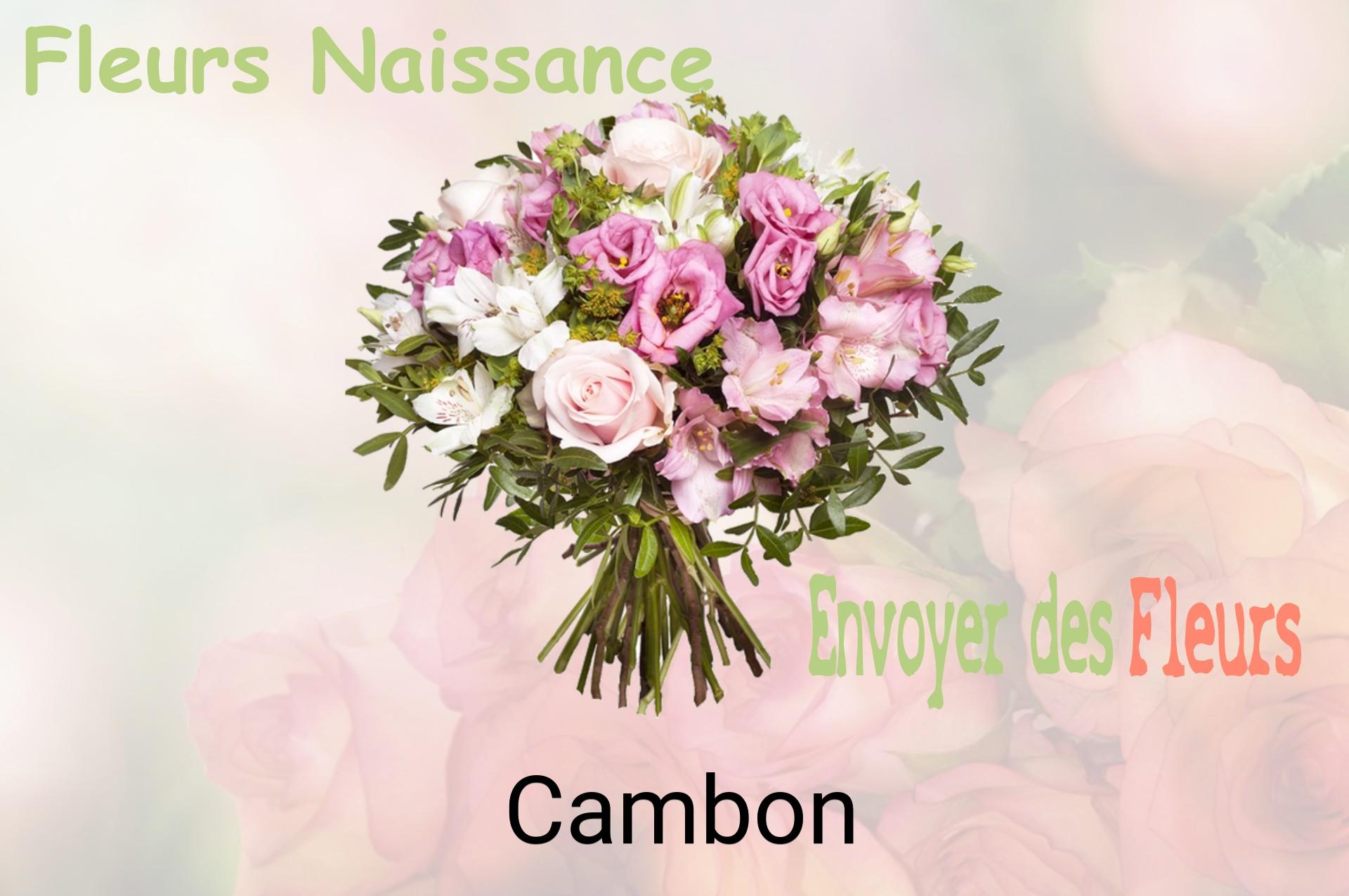 Bouquet de fleurs de naissance livré à Cambon