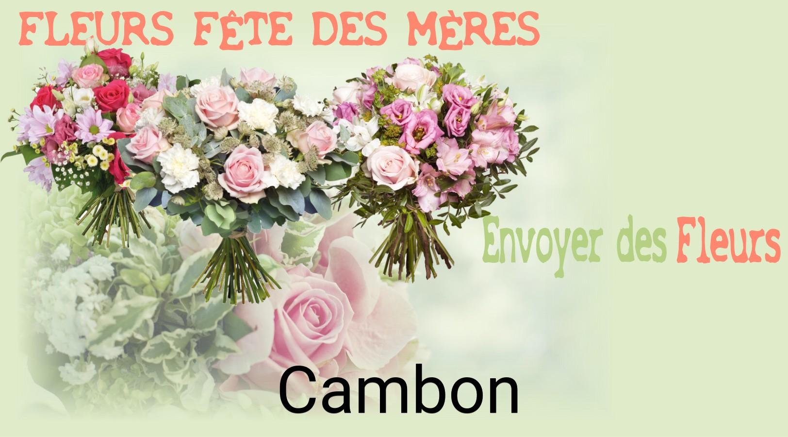 Bouquet de Fête des Mères livré à Cambon